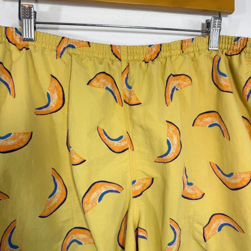 Patagonia baggies shorts